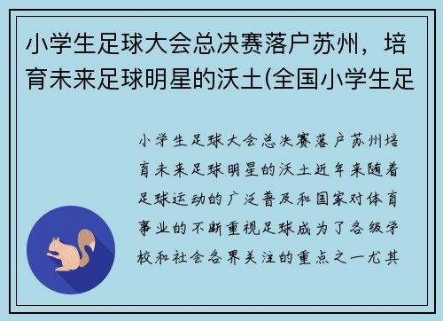 小学生足球大会总决赛落户苏州，培育未来足球明星的沃土(全国小学生足球大会)