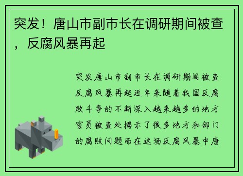 突发！唐山市副市长在调研期间被查，反腐风暴再起