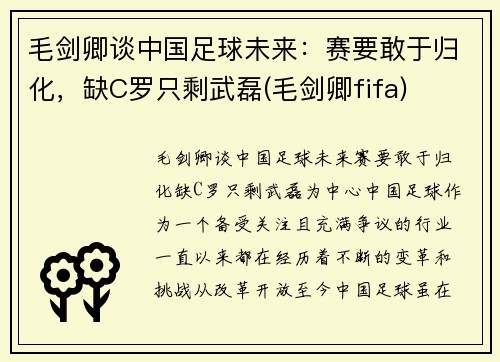 毛剑卿谈中国足球未来：赛要敢于归化，缺C罗只剩武磊(毛剑卿fifa)