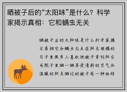 晒被子后的“太阳味”是什么？科学家揭示真相：它和螨虫无关